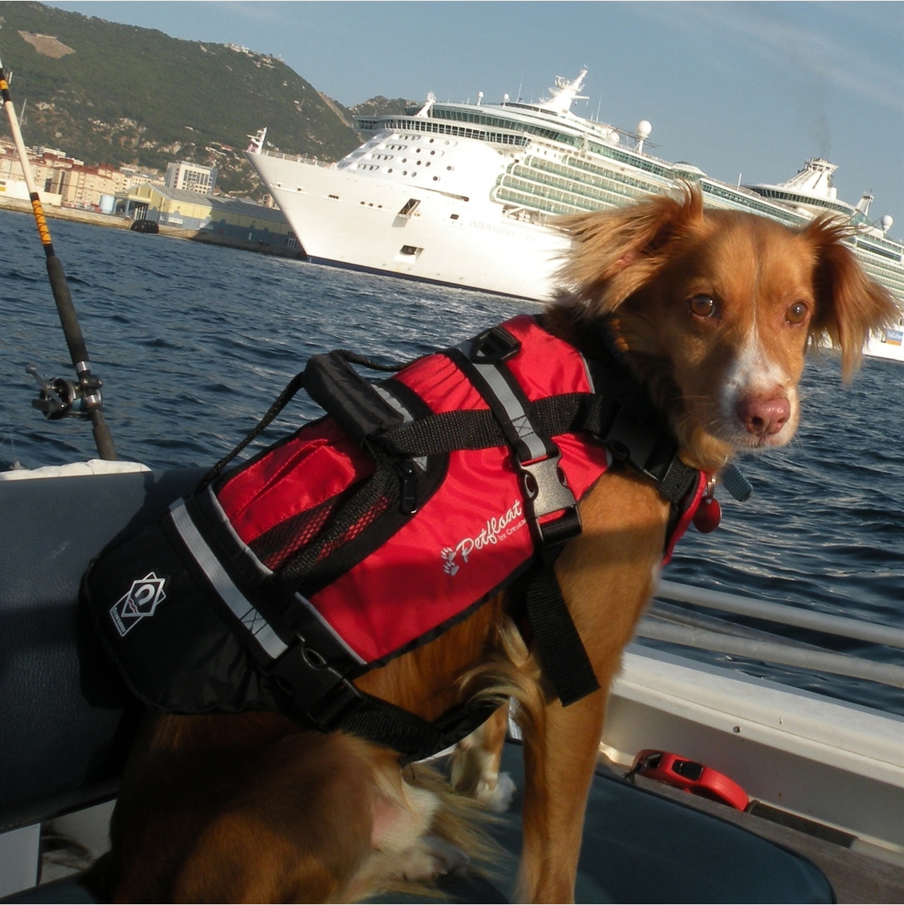 2026 Crewsaver Pet Giubbotto Di Salvataggio Per Cani/gatti Galleggiante 2370 - Red