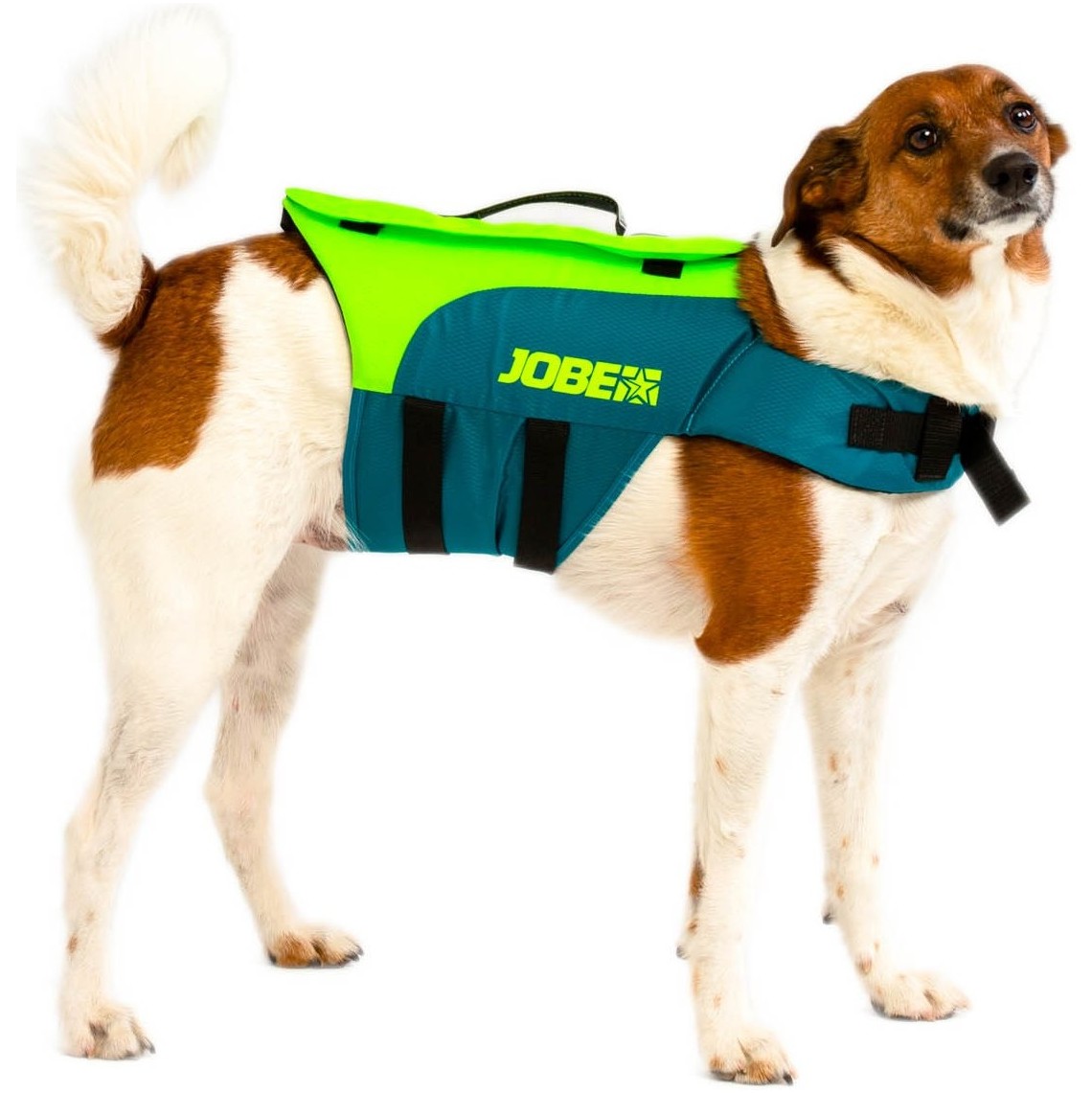 2026 Jobe Gilet A Cappuccio 240023001 - Verde Acqua