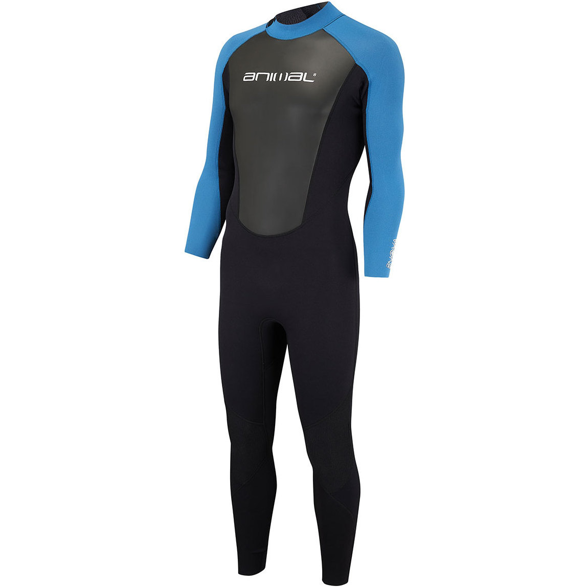 2018 Animal Nova 3 / 2mm Flatlock Zip posteriore Muta Marina blu AW8SN102