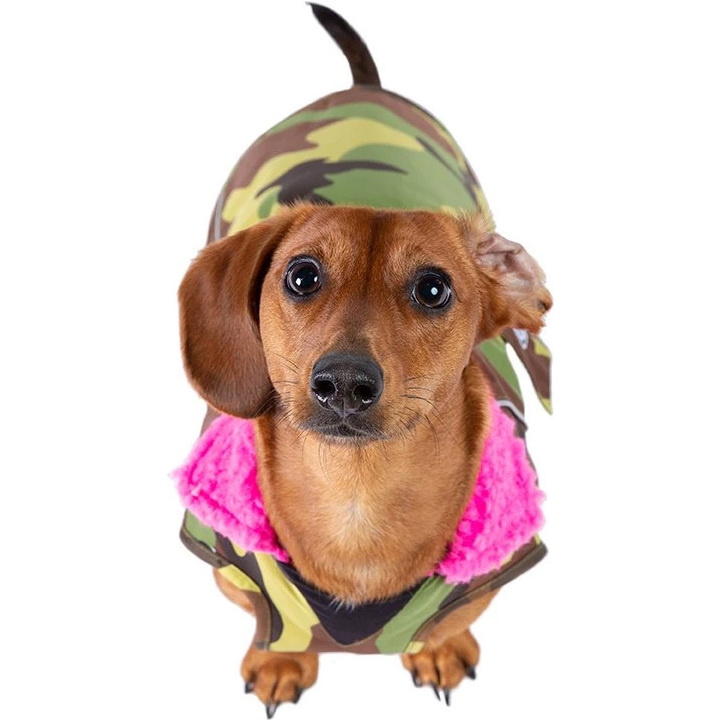 2026 Cappotto Per Cani 
