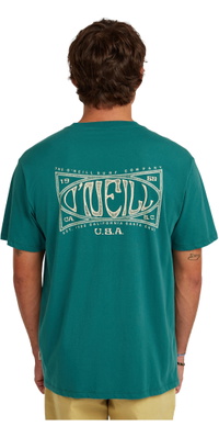 2026 ONeill Da Uomo Scatola Logo T-Shirt 2850353 - Botanical Heat