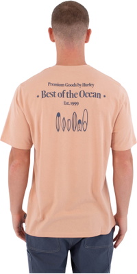 2026 Hurley Da Uomo Stampa Biriri T-Shirt MTSEUED0002619 - Beach Clay